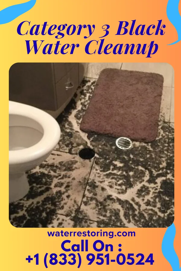 Category 3 Black Water Cleanup in Corning, NY
