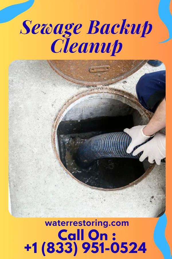 Sewage Backup Cleanup in Corning, NY